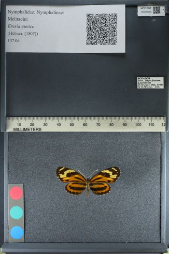 Media type: image;   Entomology 170535